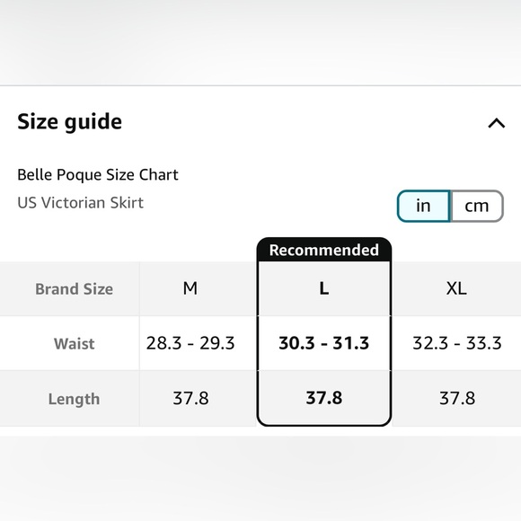 Belle Poque Women's Vintage Gothic Victorian Skirt Renaissance Style size Large - Picture 14 of 15